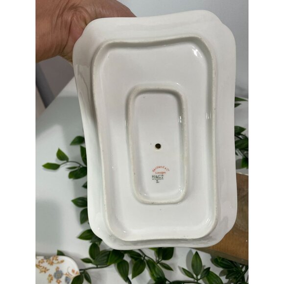 Vintage Haviland & Co Limoges Floral Porcelain Serving Dish Set - Picture 8 of 12